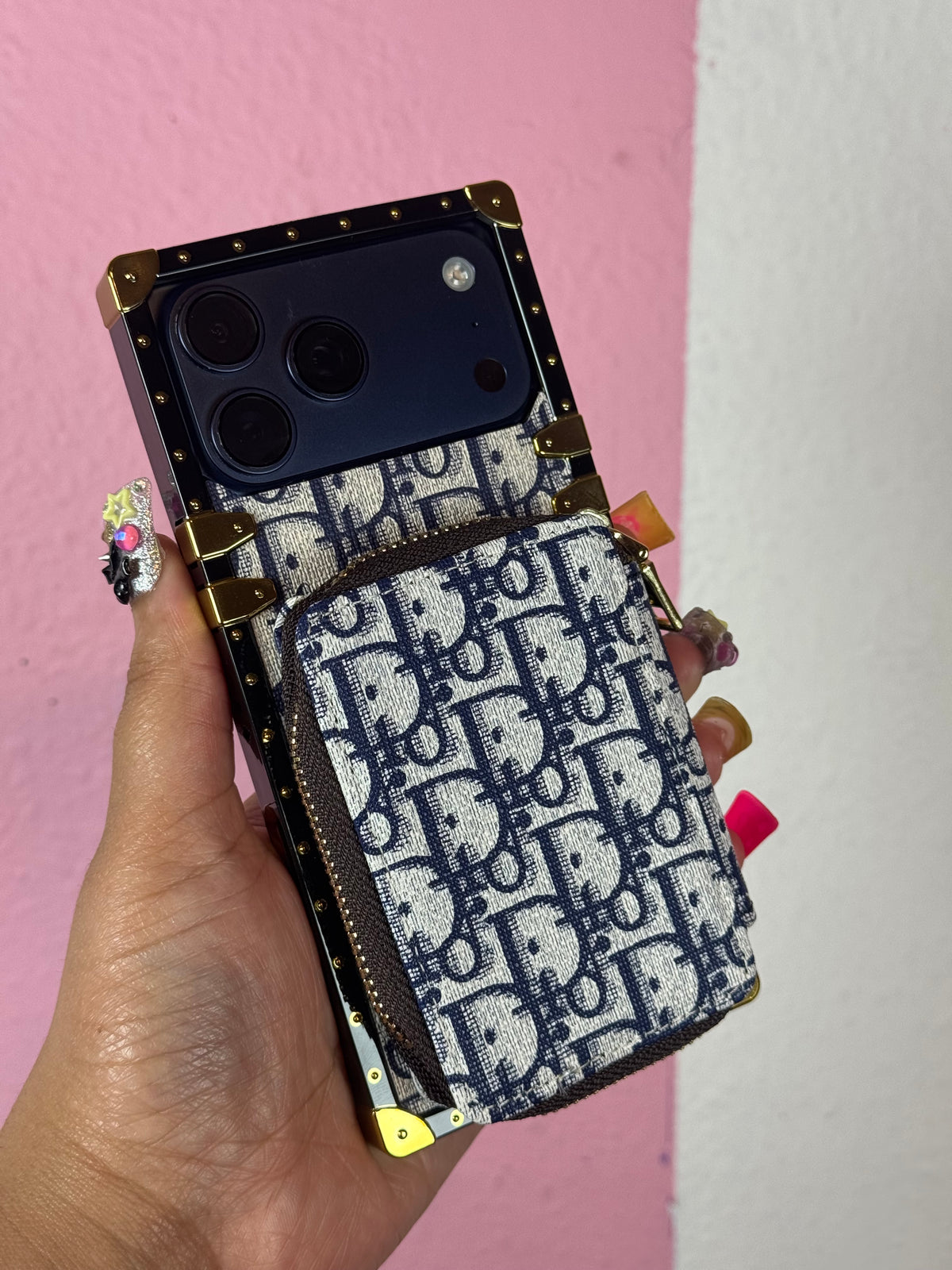 Dior Trunk Case