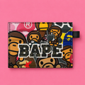Pocket Princess Cardholder